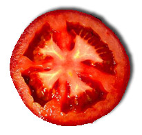 tomato_slice.jpg
